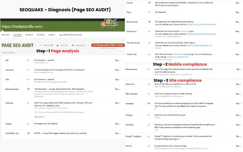 SEOquake Diagnosis tab showing visual report with checks for page analysis, headings, meta tags, mobile and site compliance, schema, and key audit tips for improving website SEO.